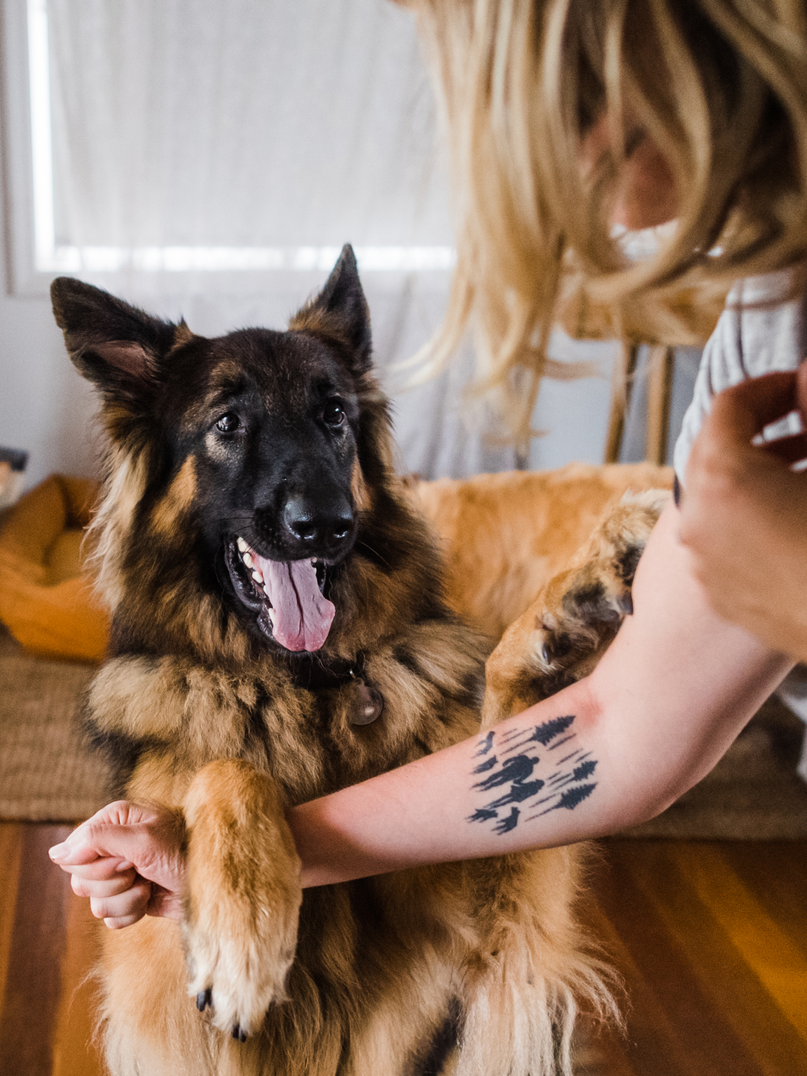 SparkleDogCare
